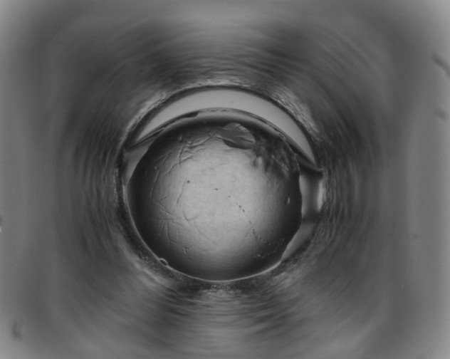 X0000096440300200801311434