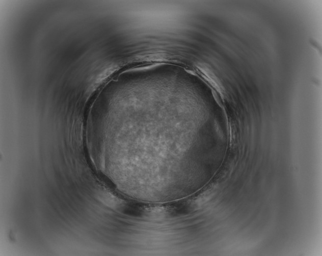 X0000096440301200801311434