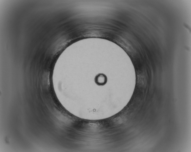 X0000096440302200801311434