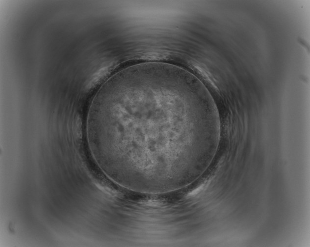 X0000096440303200801311434