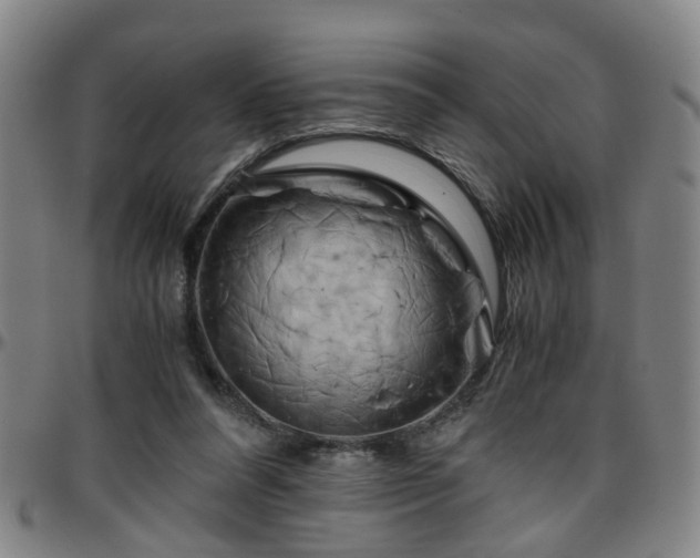 X0000096440304200801311434