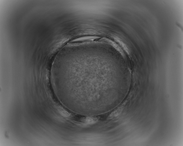 X0000096440305200801311434