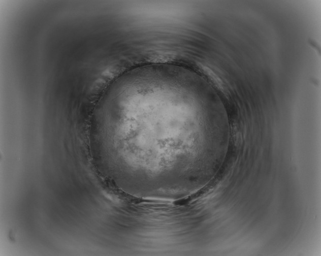 X0000096440307200801311434