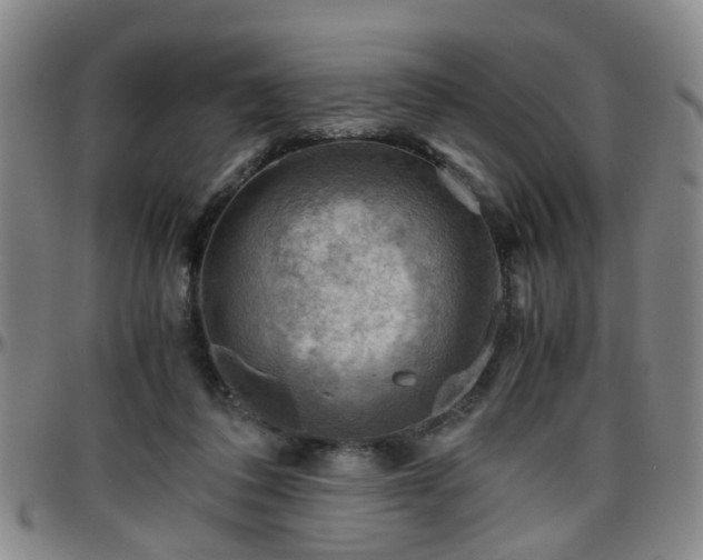 X0000096440308200801311434