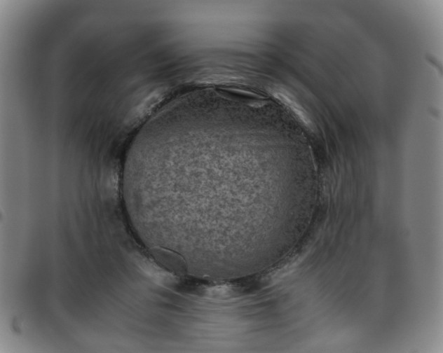 X0000096440309200801311434