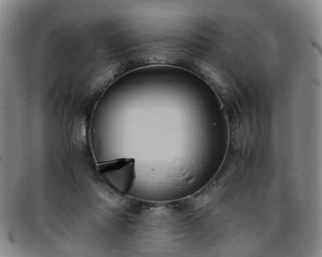 X0000096440310200801311434