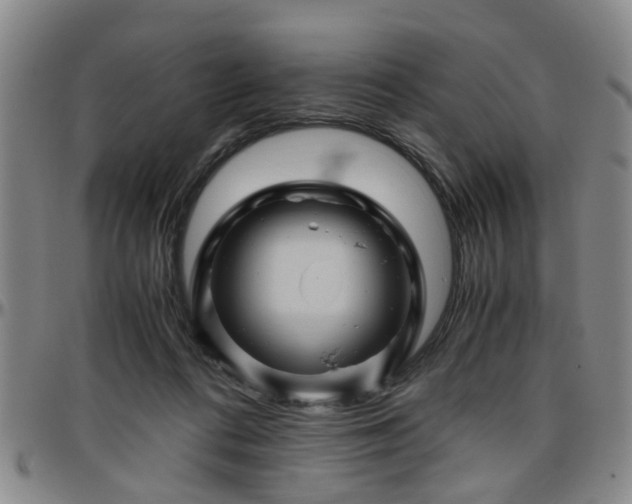 X0000096440312200801311434