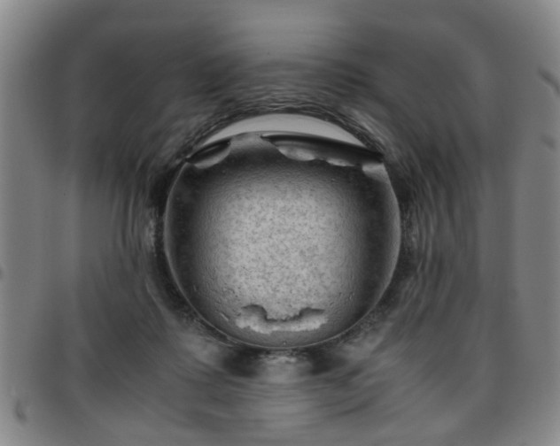 X0000096440315200801311434