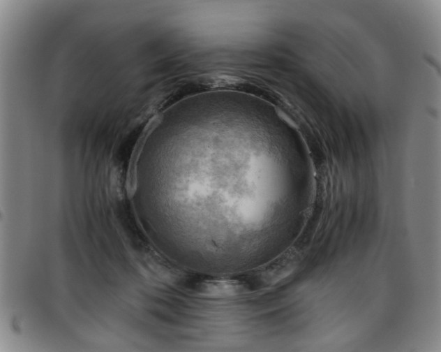 X0000096440316200801311434