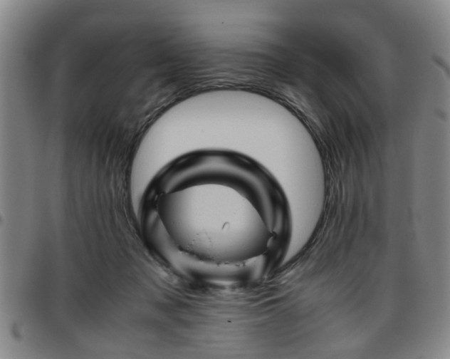 X0000096440317200801311434