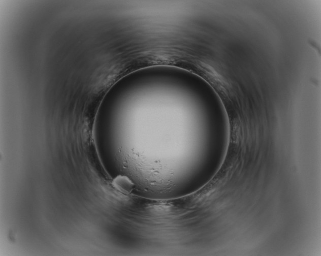 X0000096440318200801311434