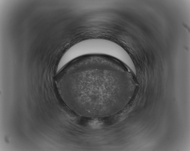 X0000096440319200801311434