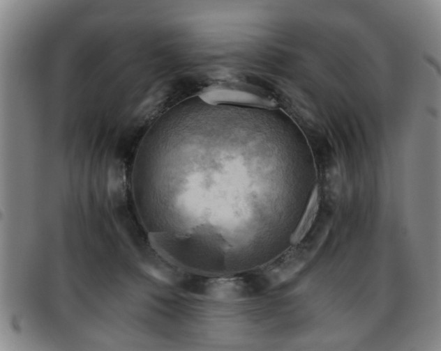 X0000096440320200801311434