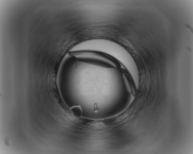 X0000096440322200801311434