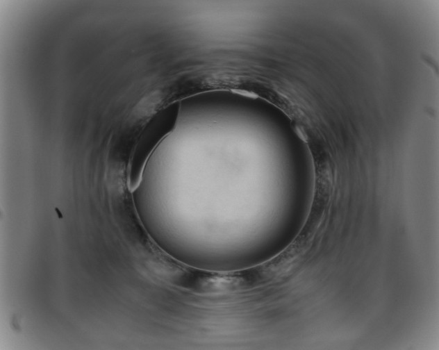 X0000096440323200801311434