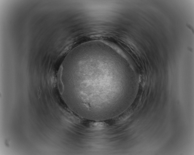 X0000096440324200801311434