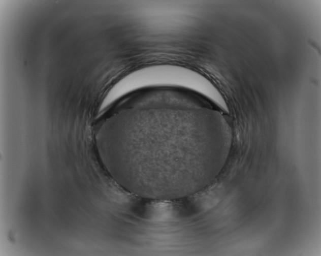 X0000096440325200801311434