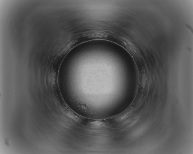 X0000096440326200801311434