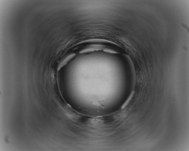 X0000096440327200801311434