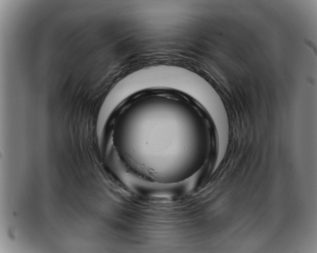 X0000096440328200801311434