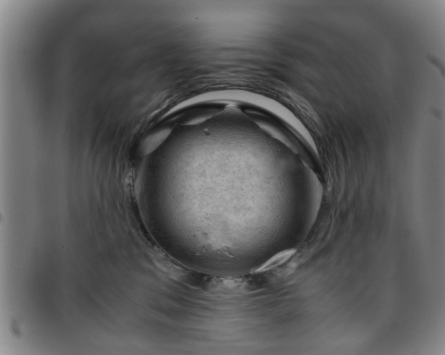 X0000096440329200801311434