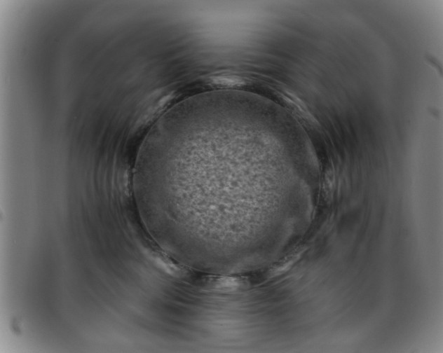 X0000096440330200801311434