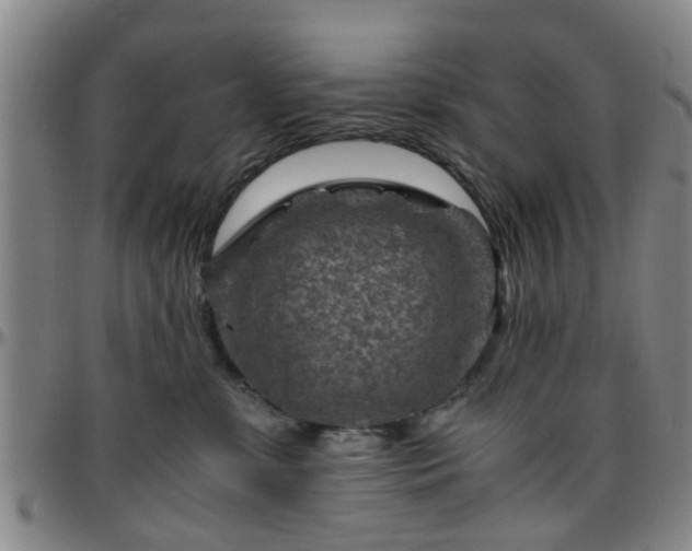 X0000096440331200801311434