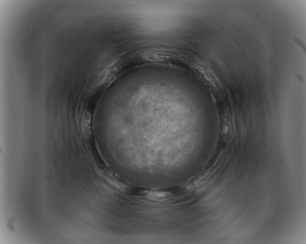 X0000096440332200801311434