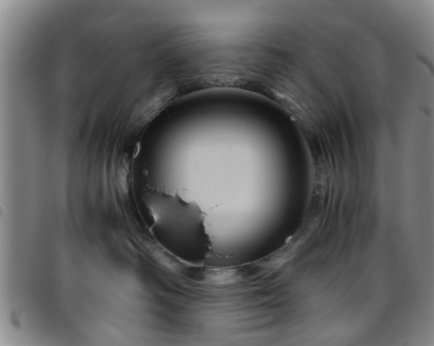 X0000096440334200801311434