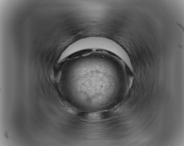 X0000096440335200801311434