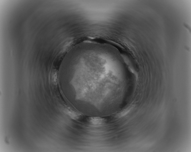 X0000096440336200801311434