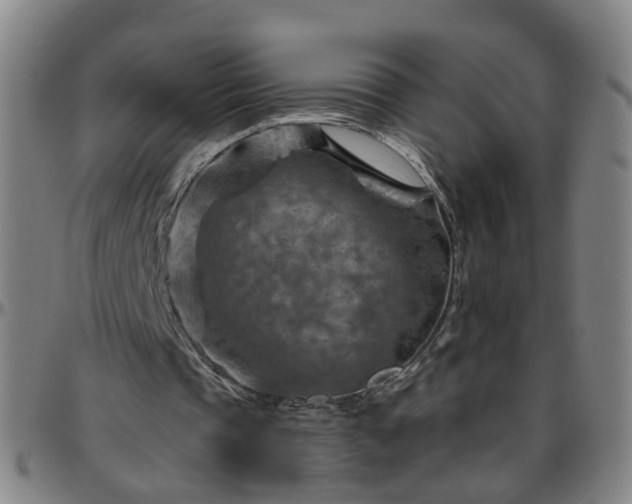 X0000096440337200801311433