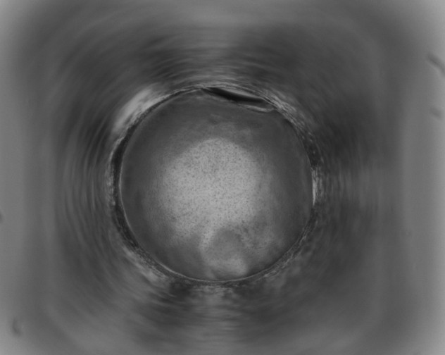 X0000096440339200801311433