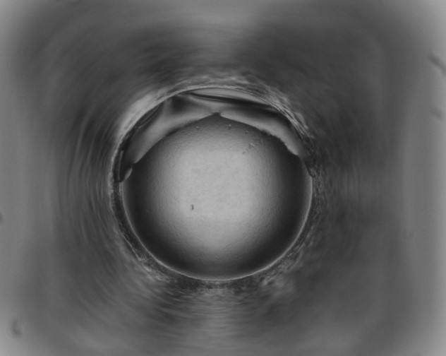 X0000096440340200801311433