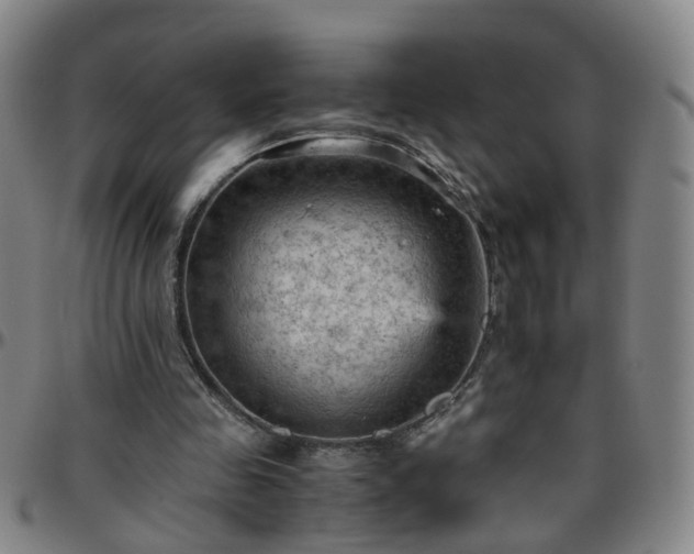 X0000096440341200801311433