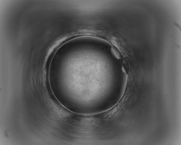 X0000096440342200801311433