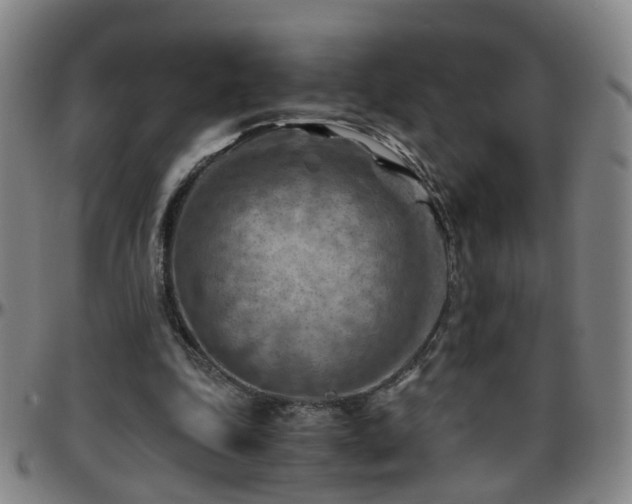 X0000096440343200801311433