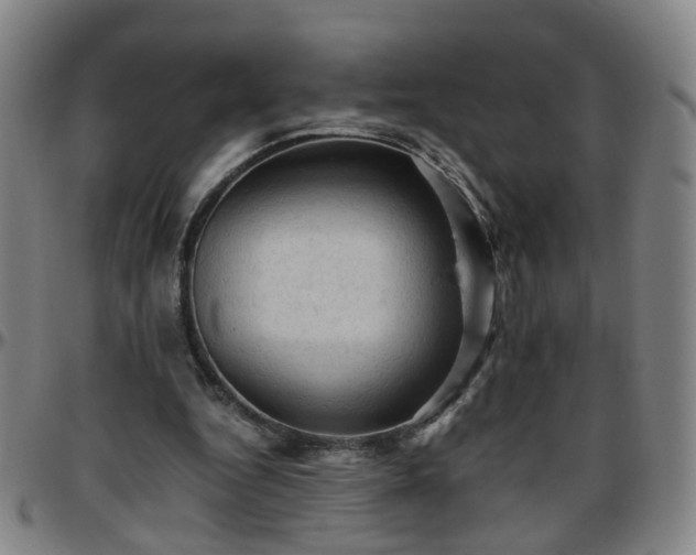 X0000096440344200801311433