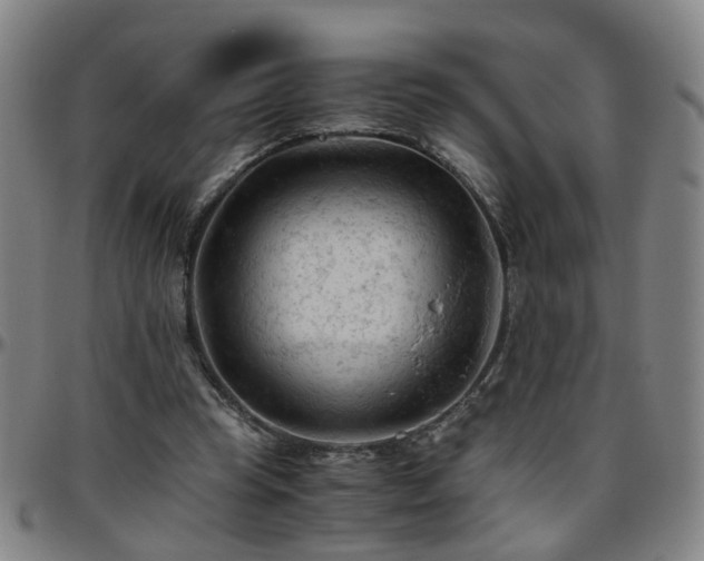 X0000096440345200801311433