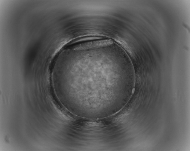 X0000096440347200801311433