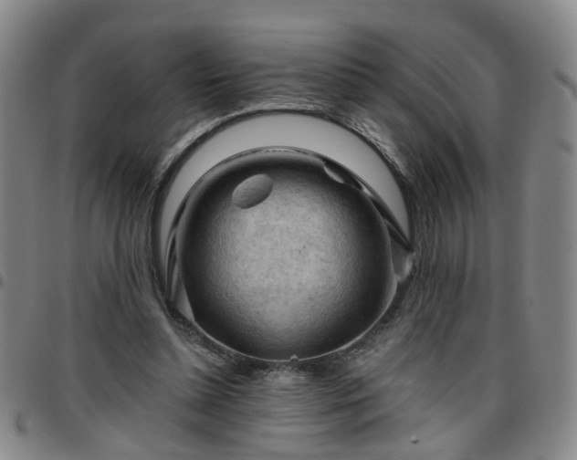 X0000096440348200801311433