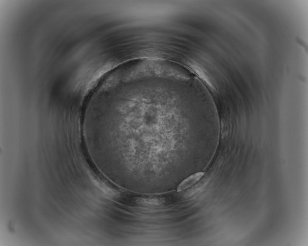 X0000096440349200801311433