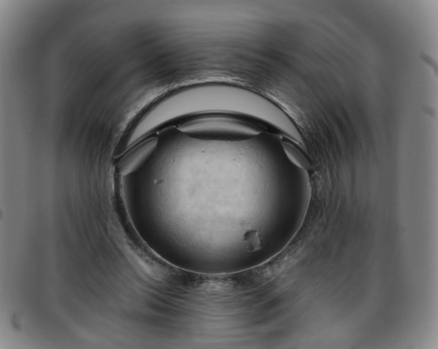 X0000096440350200801311433