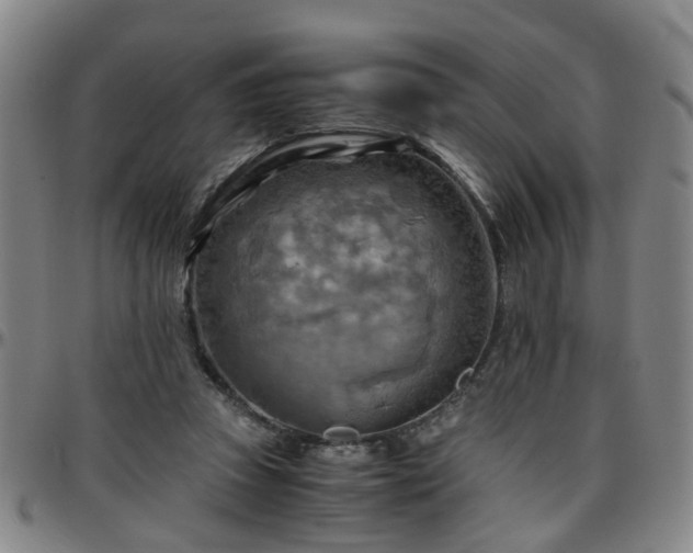 X0000096440353200801311433