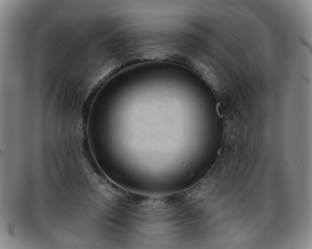 X0000096440354200801311433