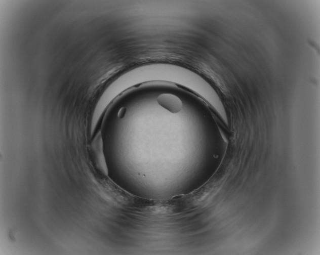 X0000096440356200801311434