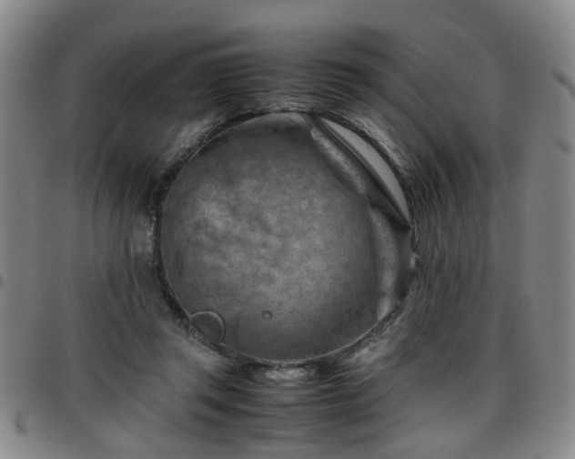 X0000096440357200801311434