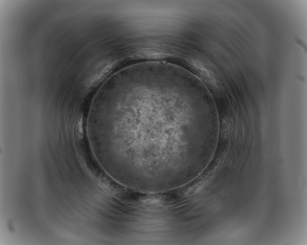 X0000096440358200801311434