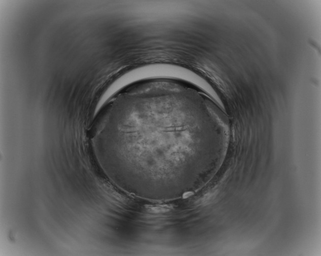 X0000096440359200801311434