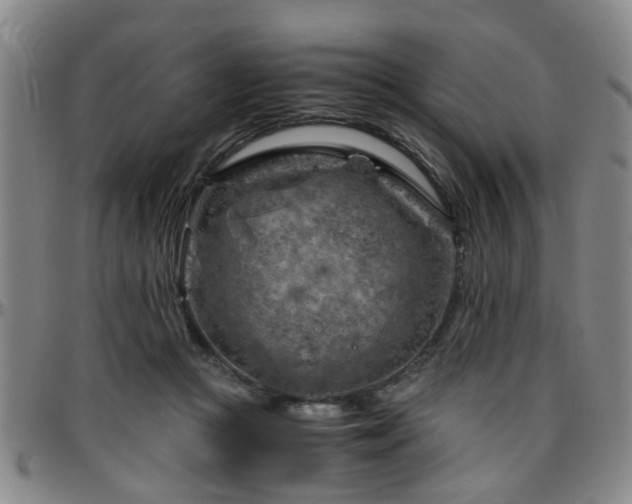 X0000096440361200801311434